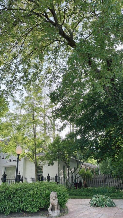 The Ginkgo Tree Bed and Breakfast Mount Pleasant Buitenkant foto