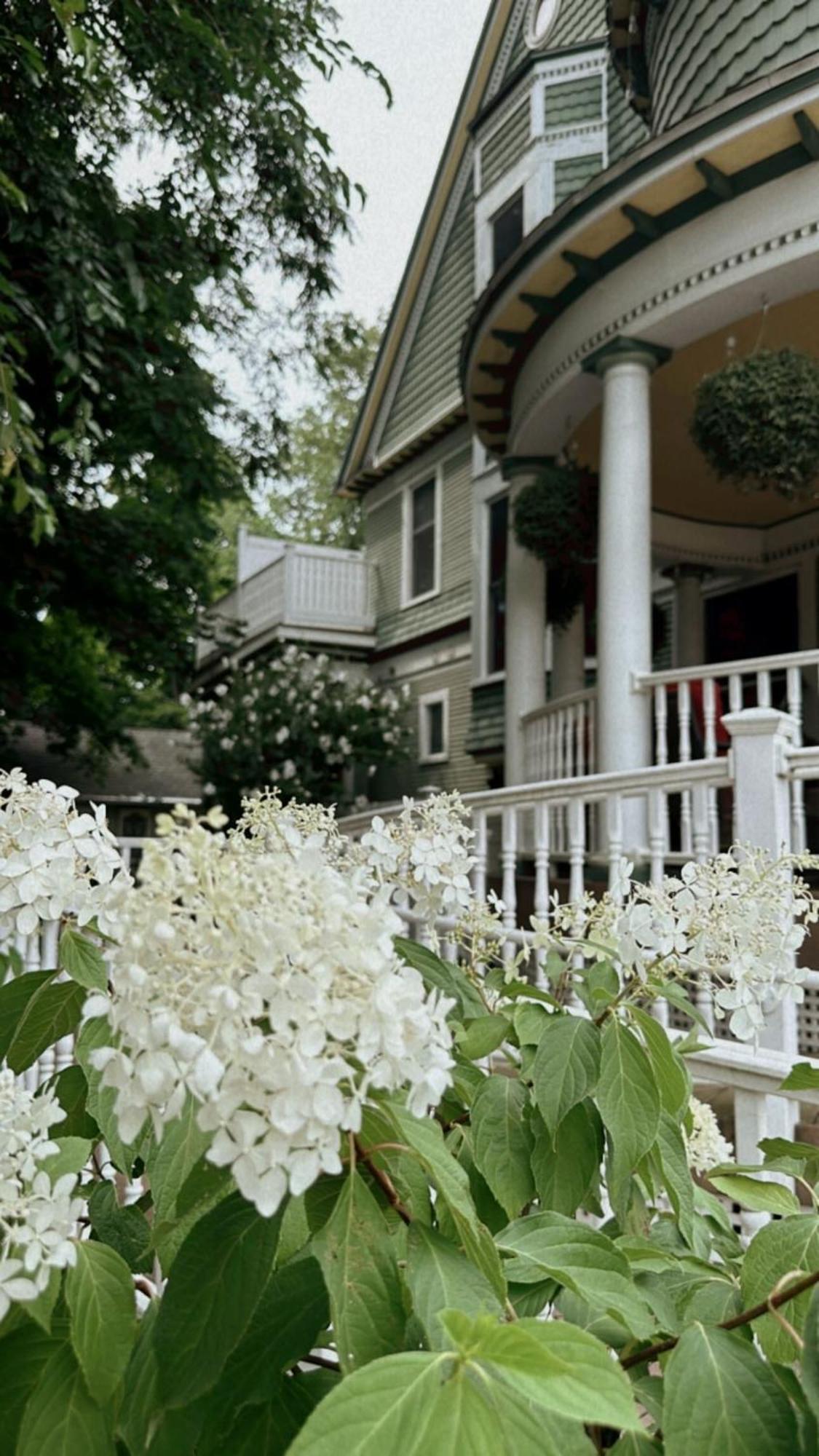 The Ginkgo Tree Bed and Breakfast Mount Pleasant Buitenkant foto